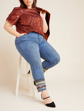 Plus Size High-Rise Embroidered Slim Straight Jeans