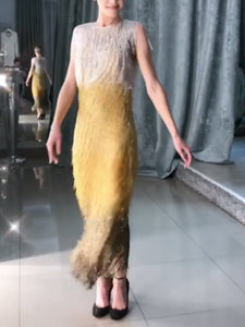 (Video) Elegant Fringed Bodycon Evening Dersses